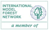 International Model Forest Network